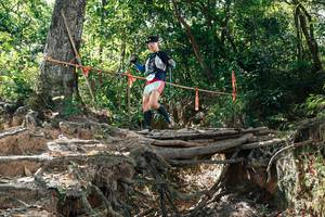 BIB: 
                            <button type="button" onclick="openModal(27800568)" class="btn btn-primary btn-sm float-right btn-popup" data-toggle="modal" data-target=".modal-high-quality">
                        <i class="fas fa-shopping-cart"></i> Add to Cart
                    </button>
                                            <button type="button" onclick="isThisMe(27800568, true)" class="btn btn-success btn-sm float-right btn-popup btn-isme hidden" data-toggle="tooltip" data-placement="bottom" title="นี่คือรูปของคุณใช่ไหม คลิกที่นี่เพื่อเอาเข้าอัลบั้ม">
                        <i class="fas fa-plus"></i> Add to album
                    </button>
                    <button type="button" onclick="isThisMe(27800568, false)" class="btn btn-warning btn-sm float-right btn-popup btn-isnotme hidden">
                        <i class="fas fa-ban"></i> Remove from album
                    </button>